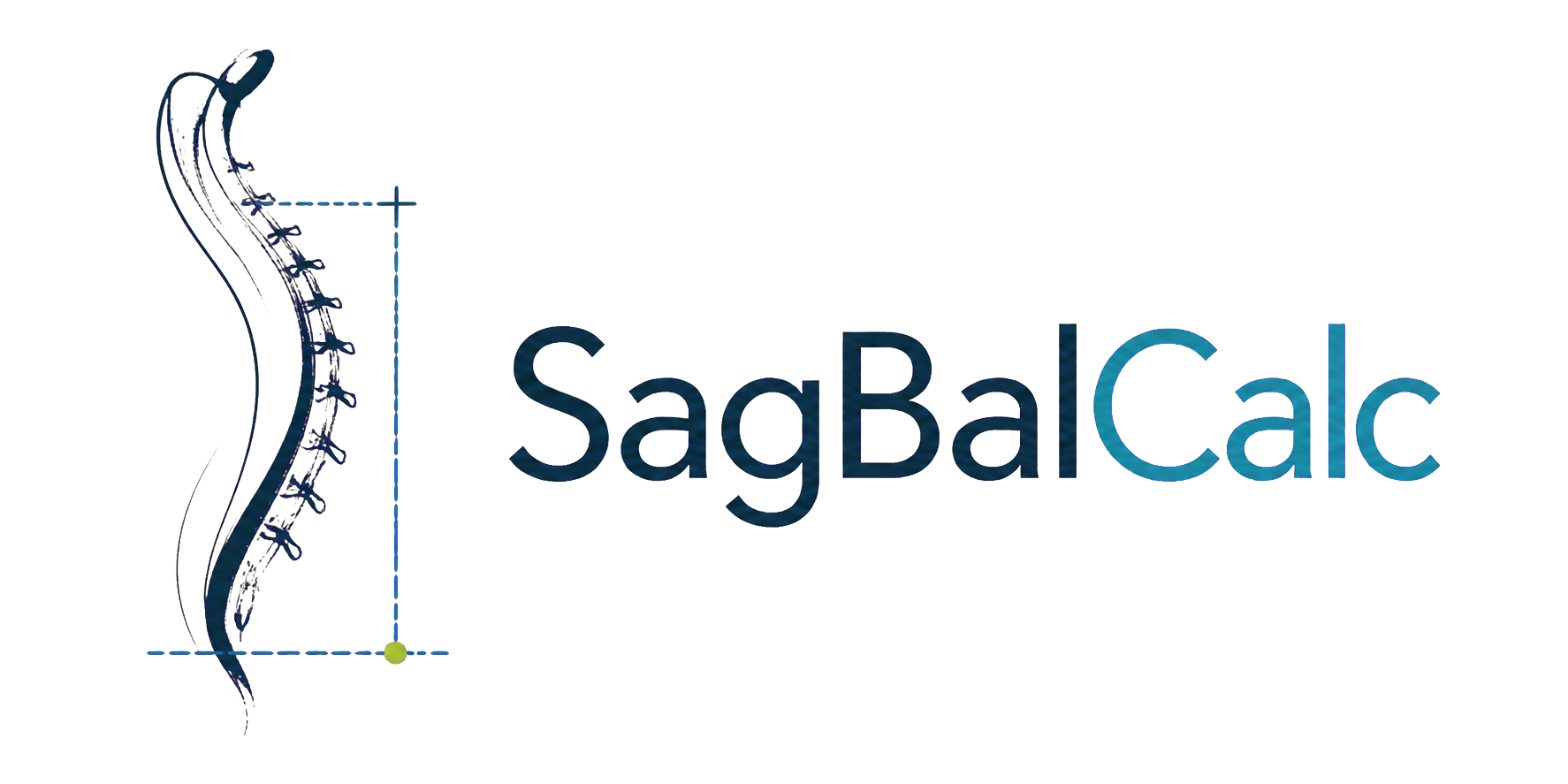 SagBalCalc — odręczny schemat kręgosłupa z liniami pomiarowymi